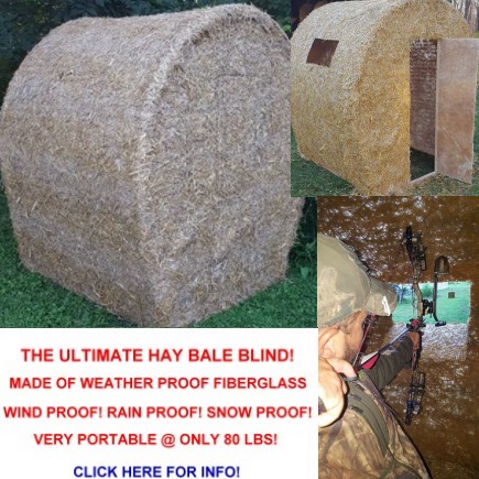 Hay Bale
                        Hunting Blind